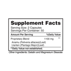 Earth's Creation, Anamu Llanten, 1100mg, 100 capsules