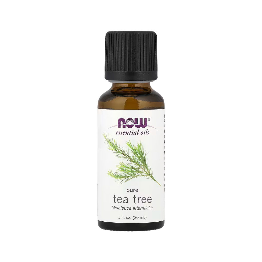 NOW Foods, Essential Oils, Tea Tree, 1 fl oz (30 ml)