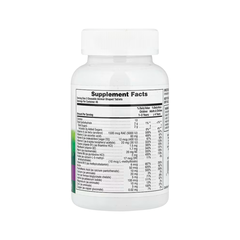 NaturesPlus, Animal Parade, Children's Chewable Multivitamin Supplement, Grape, 90 Animal-Shaped Tablets
