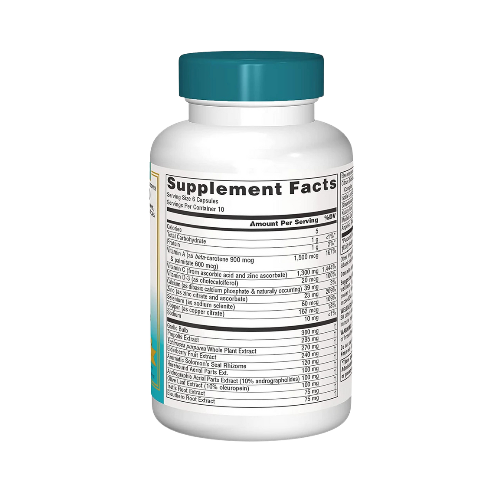 Source Natural, Wellness Formula 60 capsules